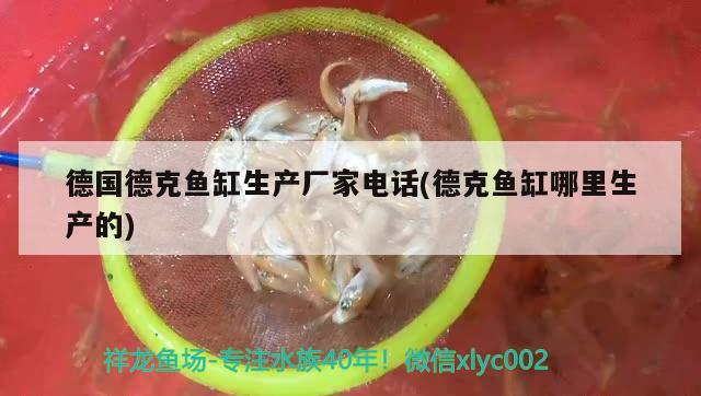 德國德克魚缸生產(chǎn)廠家電話(德克魚缸哪里生產(chǎn)的)