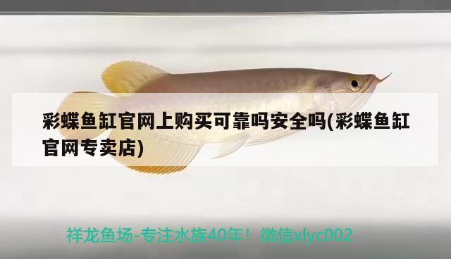 彩蝶魚缸官網(wǎng)上購(gòu)買可靠嗎安全嗎(彩蝶魚缸官網(wǎng)專賣店) 女王大帆魚