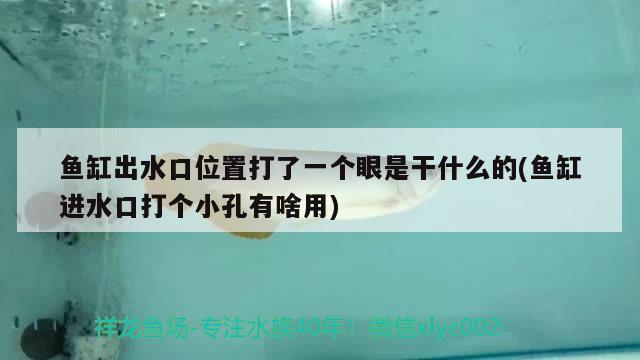 魚身上有白點加亞甲基藍能管用嗎，魚池里的魚身體上有小白點咋處理