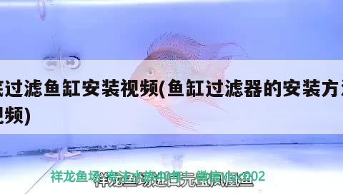 底過濾魚缸安裝視頻(魚缸過濾器的安裝方法視頻) 過背金龍魚