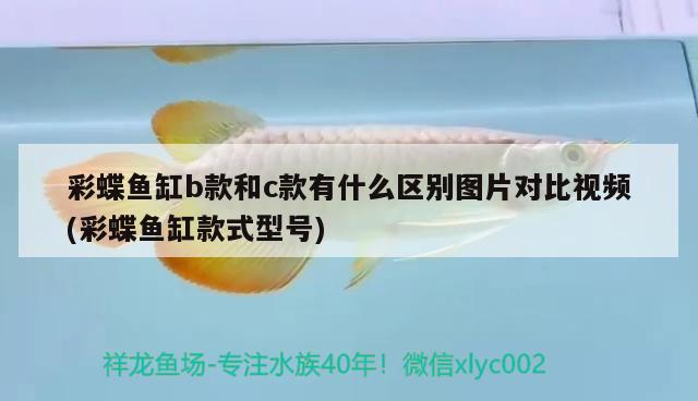 彩蝶魚(yú)缸b款和c款有什么區(qū)別圖片對(duì)比視頻(彩蝶魚(yú)缸款式型號(hào)) 祥龍赫舞紅龍魚(yú)