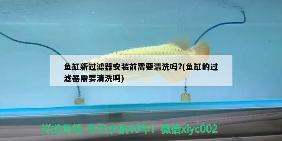 墻面魚缸設(shè)計：墻面魚缸設(shè)計效果圖 廣州水族批發(fā)市場 第3張