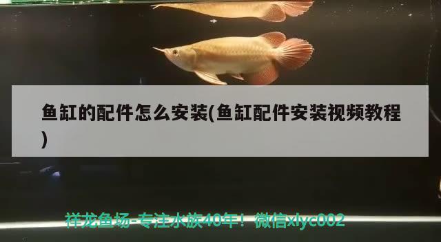 心情舒暢