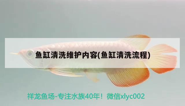 皇冠狗頭魚和龍魚混養(yǎng)(皇冠狗頭混養(yǎng)小魚)