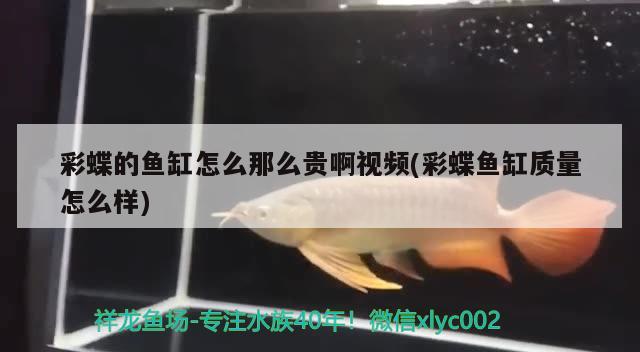 彩蝶的魚缸怎么那么貴啊視頻(彩蝶魚缸質(zhì)量怎么樣)