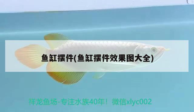 魚缸擺件(魚缸擺件效果圖大全) 潛水泵 第2張