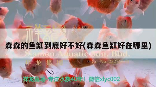 森森的魚缸到底好不好(森森魚缸好在哪里)