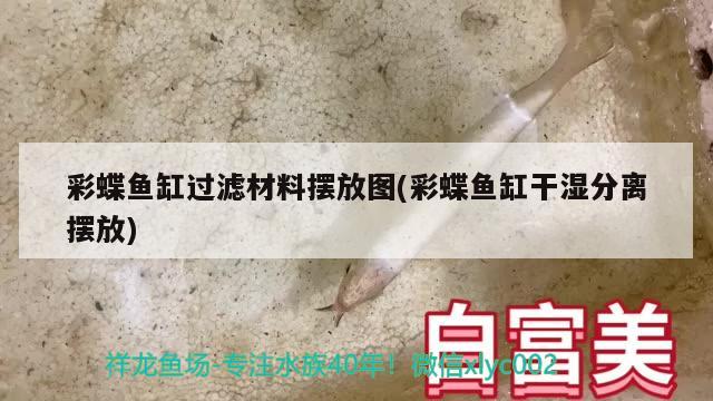 彩蝶魚缸過濾材料擺放圖(彩蝶魚缸干濕分離擺放)