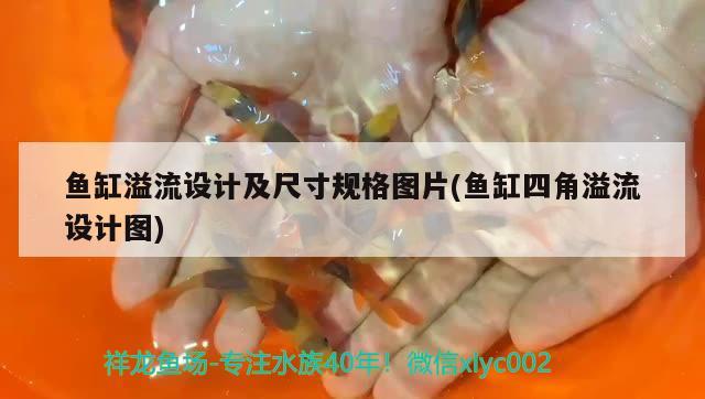 魚缸水燈價格和圖片(魚缸照明燈具及價格LED燈片)