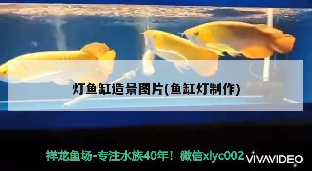 自制魚缸加氧氣泵（自制魚缸加氧氣泵視頻） 充氧泵 第2張