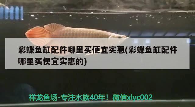 彩蝶魚(yú)缸配件哪里買(mǎi)便宜實(shí)惠(彩蝶魚(yú)缸配件哪里買(mǎi)便宜實(shí)惠的)