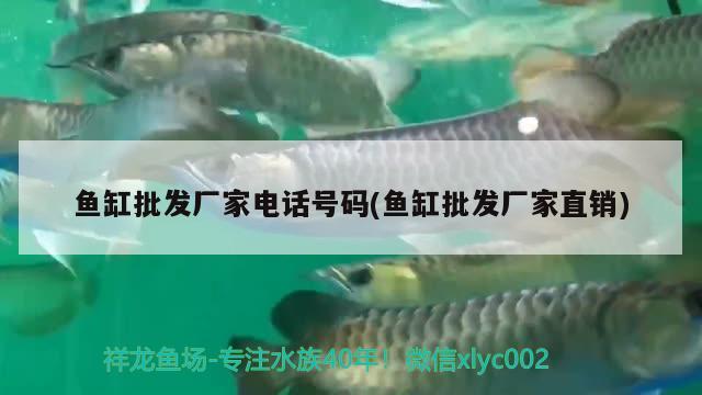 婁底哪里有賣魚缸的店鋪呢圖片（婁底哪里有賣魚缸的店鋪呢圖片及價格） 觀賞魚 第3張