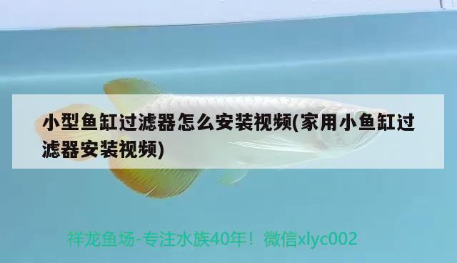 魚缸底部放沙子好還是不放好 魚缸底部放沙子好還是不放好一點 哥倫比亞巨暴魚苗 第2張