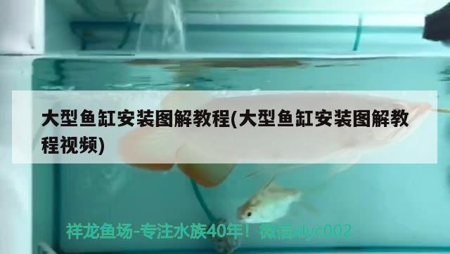 大型魚缸安裝圖解教程(大型魚缸安裝圖解教程視頻)