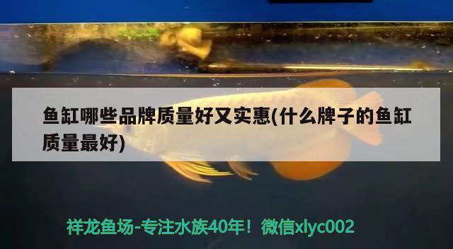 原生態(tài)溪流魚缸加熱棒和過濾如何安裝(下過濾魚缸加熱棒的正確使用方法) 魚缸凈水劑 第1張