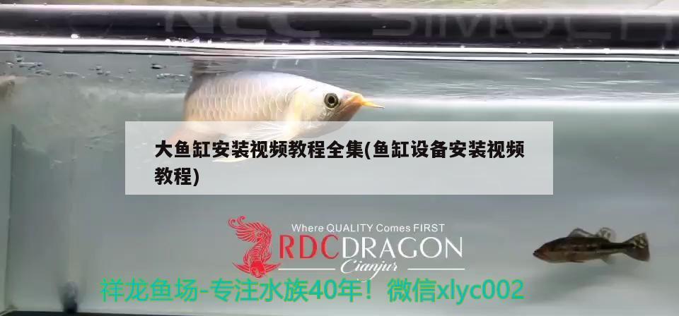 浮萍放魚缸里黃葉(浮萍放魚缸里黃葉了)