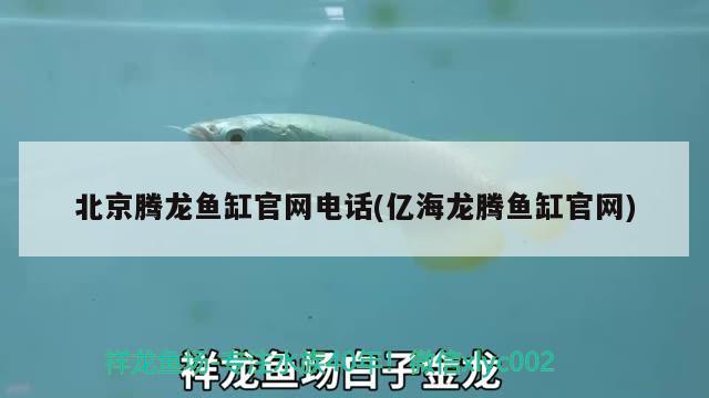 北京騰龍魚缸官網(wǎng)電話(億海龍騰魚缸官網(wǎng))