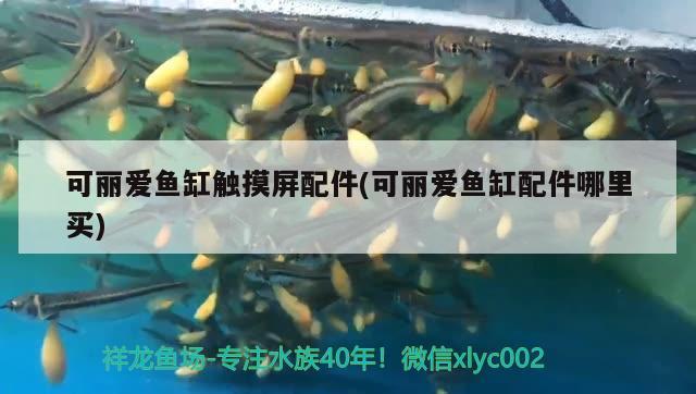 可麗愛魚缸觸摸屏配件(可麗愛魚缸配件哪里買)