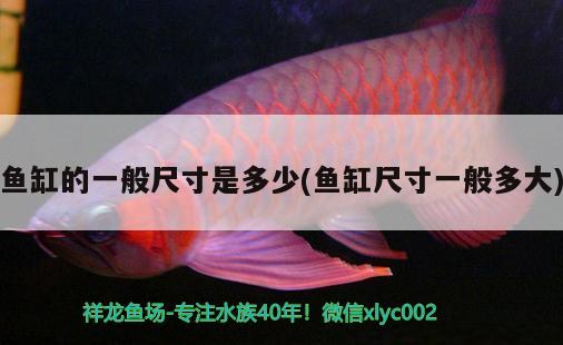 魚(yú)缸的一般尺寸是多少(魚(yú)缸尺寸一般多大)