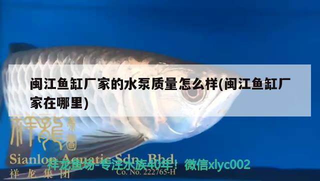 上循環(huán)的魚(yú)缸怎么安裝示意圖圖片(下循環(huán)魚(yú)缸圖片) 飛鳳魚(yú)