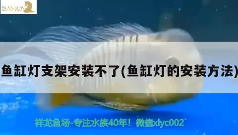 魚缸燈支架安裝不了(魚缸燈的安裝方法)