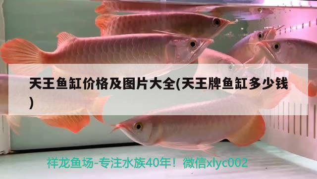 天王魚缸價(jià)格及圖片大全(天王牌魚缸多少錢) 銀龍魚