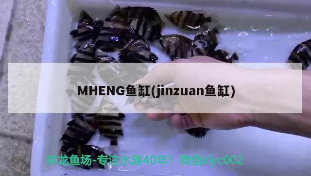 MHENG魚缸(jinzuan魚缸) 帝王迷宮魚