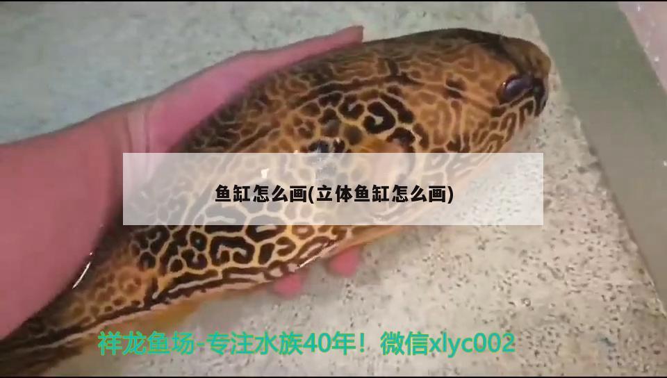 魚缸怎么畫(立體魚缸怎么畫) 一眉道人魚苗