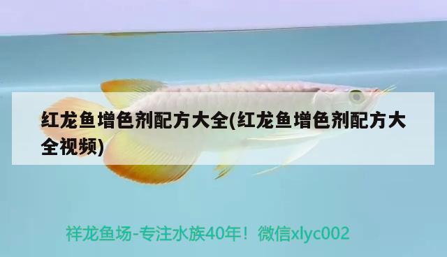 紅龍魚增色劑配方大全(紅龍魚增色劑配方大全視頻)