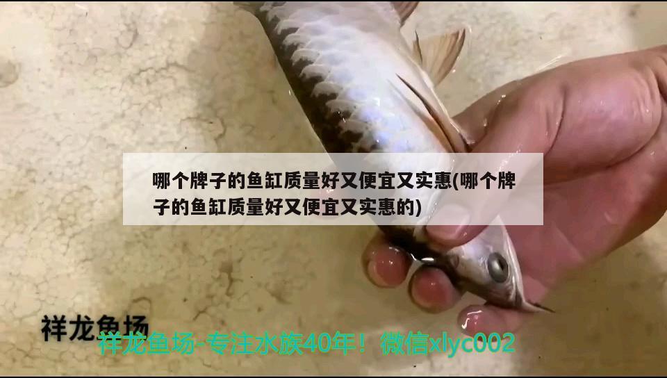 養(yǎng)魚魚缸水多久換一次：養(yǎng)魚缸水多長時(shí)間換