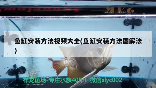 魚缸安裝方法視頻大全(魚缸安裝方法圖解法) 魚缸/水族箱