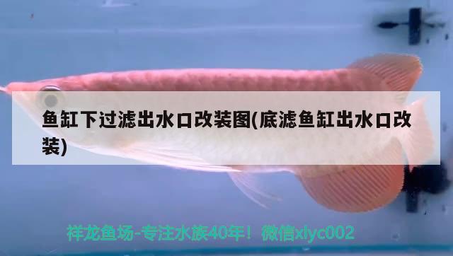 魚缸底濾安裝視頻(底部過(guò)濾魚缸安裝視頻) 黑水素