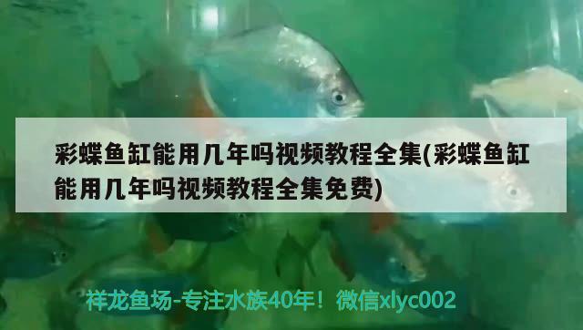 彩蝶魚缸能用幾年嗎視頻教程全集(彩蝶魚缸能用幾年嗎視頻教程全集免費)