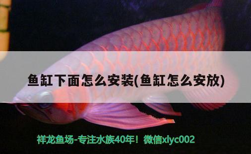 魚缸下面怎么安裝(魚缸怎么安放)