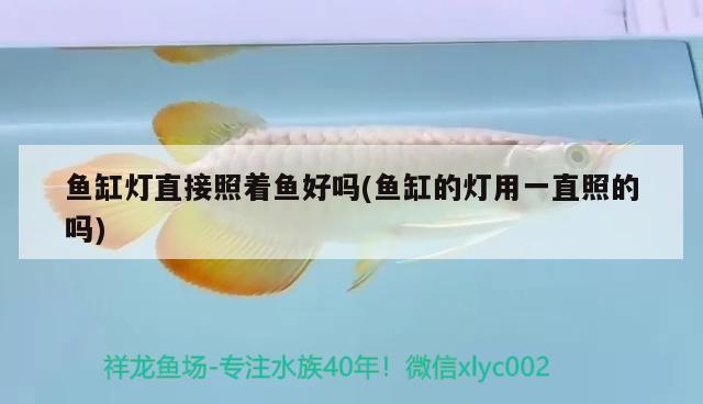 彩蝶魚(yú)缸尺寸圖片大全(彩蝶魚(yú)缸型號(hào)大全)