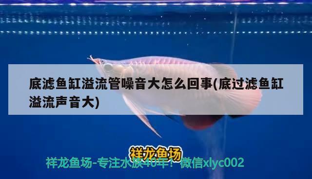 底濾魚缸如何安裝(底濾魚缸如何安裝視頻教程)