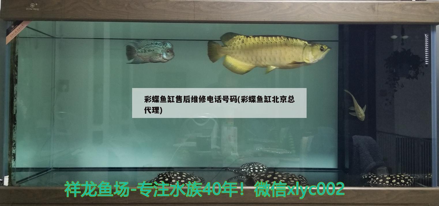 彩蝶魚缸上水管多大口徑的(彩蝶魚缸出水口)