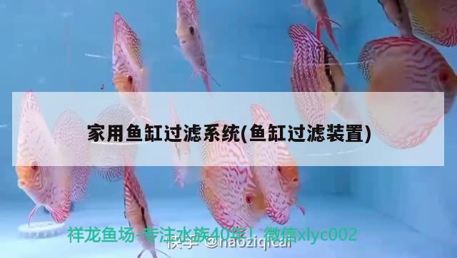 家用魚缸過濾系統(tǒng)(魚缸過濾裝置) 魚缸水泵