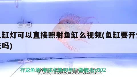 魚缸燈可以直接照射魚缸么視頻(魚缸要開燈光嗎) 南美異型魚 第2張