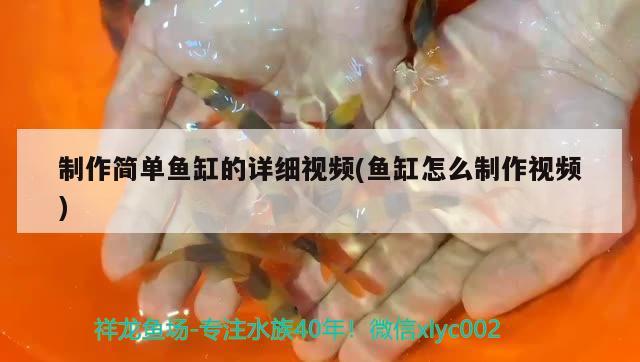 制作簡(jiǎn)單魚缸的詳細(xì)視頻(魚缸怎么制作視頻)