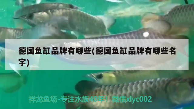 德國魚缸品牌有哪些(德國魚缸品牌有哪些名字)