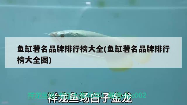 魚缸著名品牌排行榜大全(魚缸著名品牌排行榜大全圖) 黃金夢(mèng)幻雷龍魚