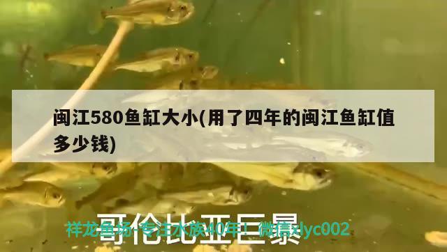 閩江580魚缸大小(用了四年的閩江魚缸值多少錢) 白化火箭