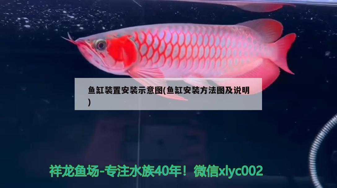 魚缸裝置安裝示意圖(魚缸安裝方法圖及說明) 水族燈（魚缸燈）