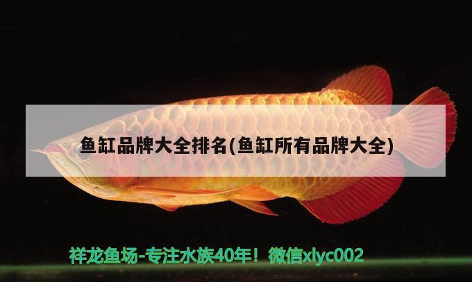 魚(yú)缸品牌大全排名(魚(yú)缸所有品牌大全)