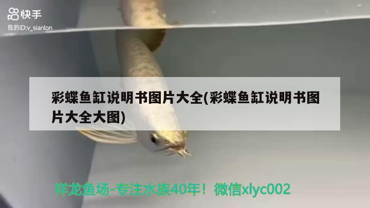 10cm紅龍魚魚苗價(jià)格多少（10cm金龍魚魚苗價(jià)格） 稀有金龍魚 第2張