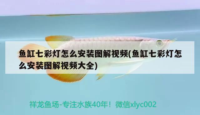 底濾魚缸尺寸圖：高手請指點(diǎn)下魚缸與底濾缸比例該怎么配 養(yǎng)魚的好處 第2張