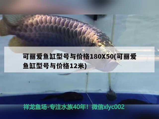 底濾魚缸尺寸圖：高手請指點(diǎn)下魚缸與底濾缸比例該怎么配 養(yǎng)魚的好處 第1張