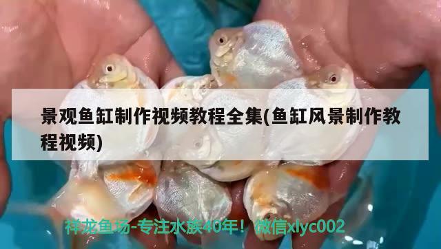 景觀魚缸制作視頻教程全集(魚缸風景制作教程視頻)