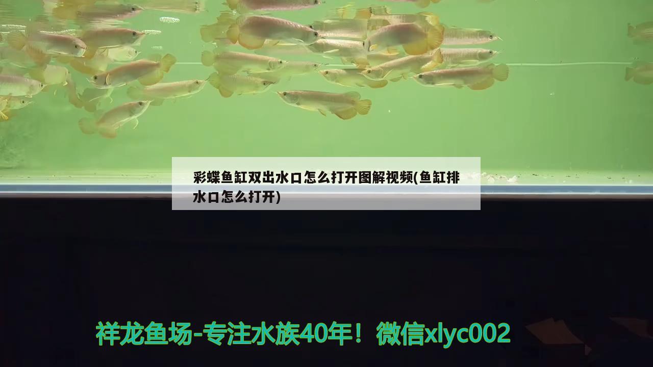 彩蝶魚缸雙出水口怎么打開圖解視頻(魚缸排水口怎么打開)